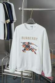 Picture of Burberry Sweatshirt _SKUBurberryS-XLxetr22331068